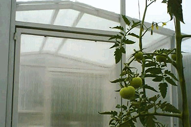 greenhouse-3